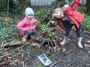 Forest school