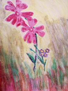 Red Campion painting by OUWG member